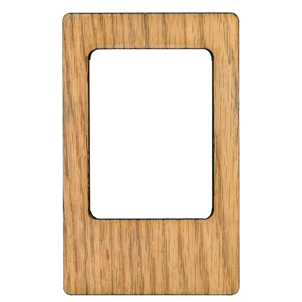 Biryani - Instax Magnet