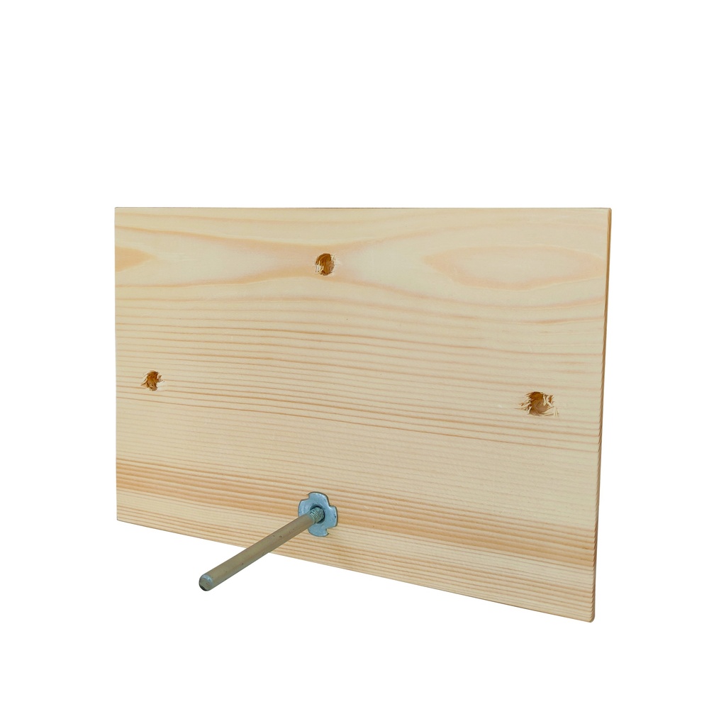 Instax - Wood Plaque