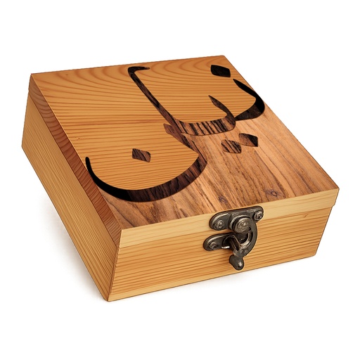 Inlay - Lock Box